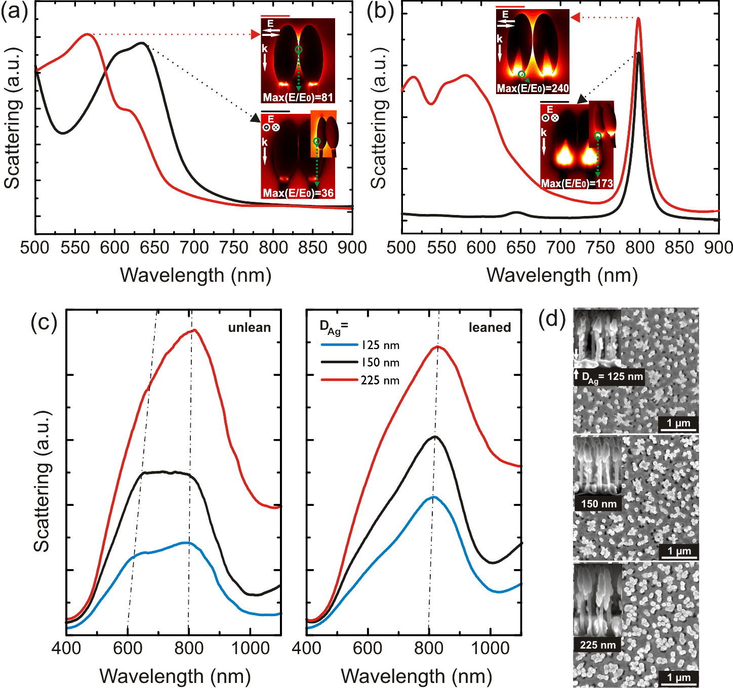 Figure 1. (a) Calculated scattering spectra for a dimer of Ag@Si NPs without Si cavities (the Si inside the Ag caps are replaced by Ag) under different polarization directions. (b) Same as (a), but for the case that the NPs contain Si cavities inside their Ag caps. (c) Measured scattering spectra for NPs on three substrates with different Ag deposition thicknesses: 125 nm, 150 nm, and 225 nm. (d) SEM images of leaning NPs (top view), Insets: cross-sectional view of the NPs before leaning.